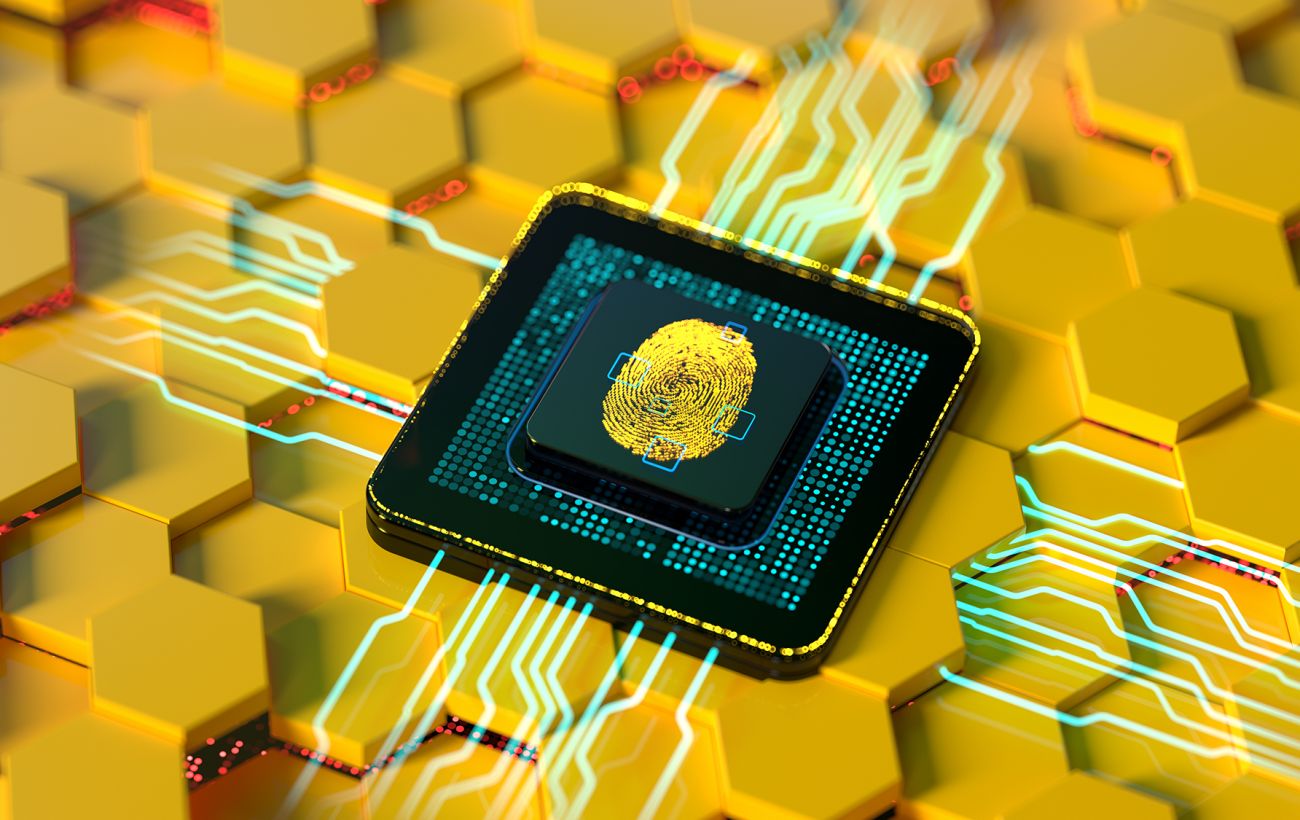 Нідерланди профінансують захист України від російських кібератак