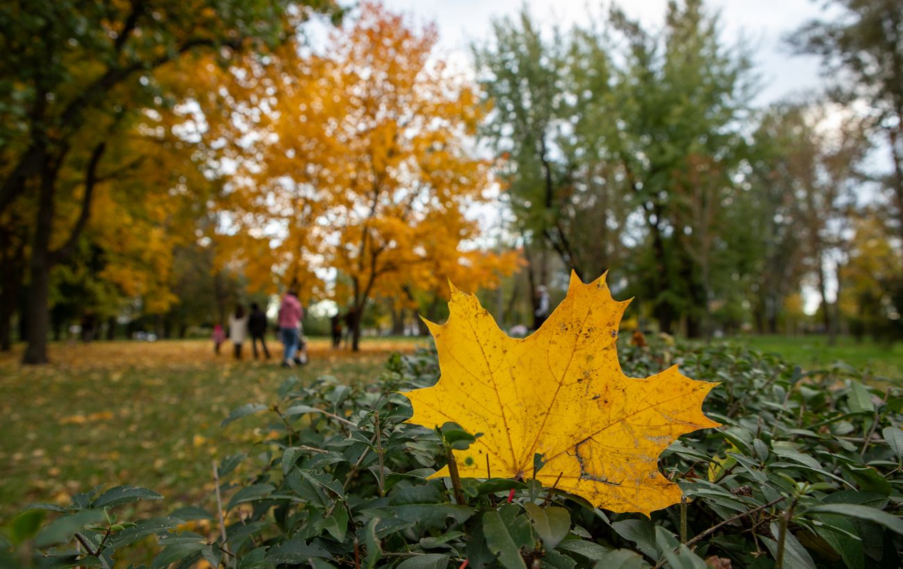 Осіння погода без морозів: чого чекати українцям сьогодні