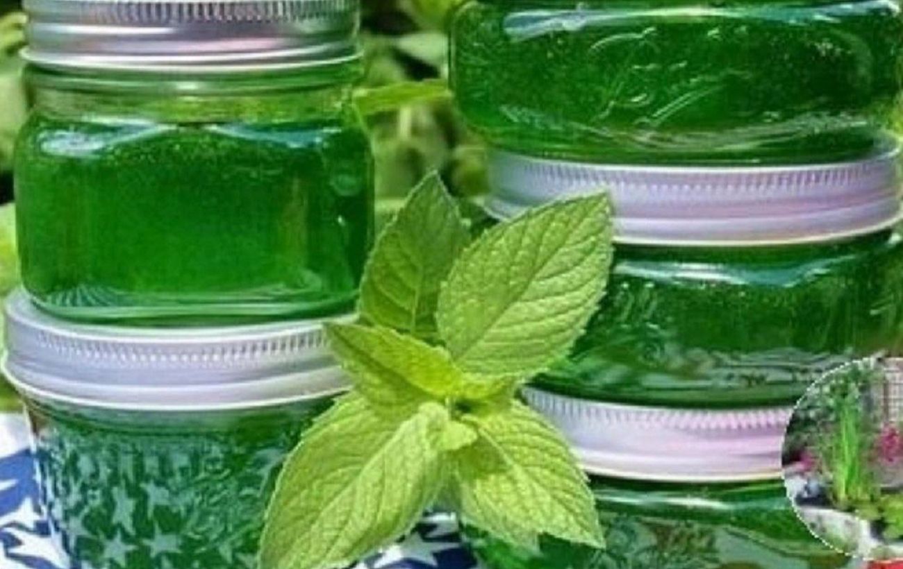 Як приготувати м’ятне варення, що рятує від застуди