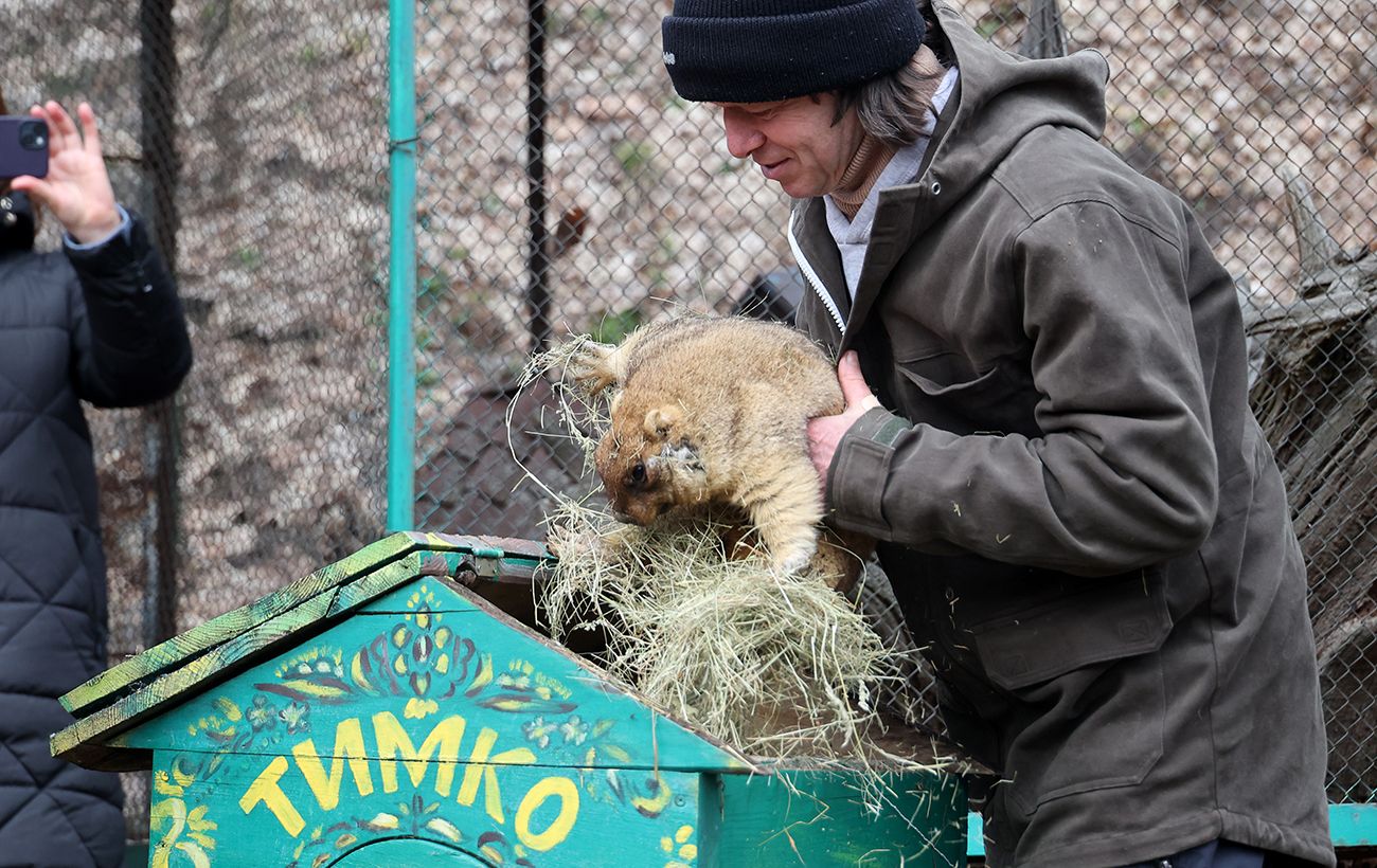 Прогноз бабака Тимка: коли в Україну нарешті прийде справжнє тепло