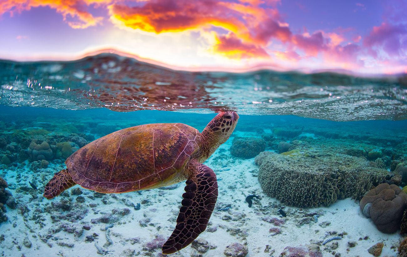 20 унікальних місць планети, які зникнуть до 2045 року: що треба встигнути побачити