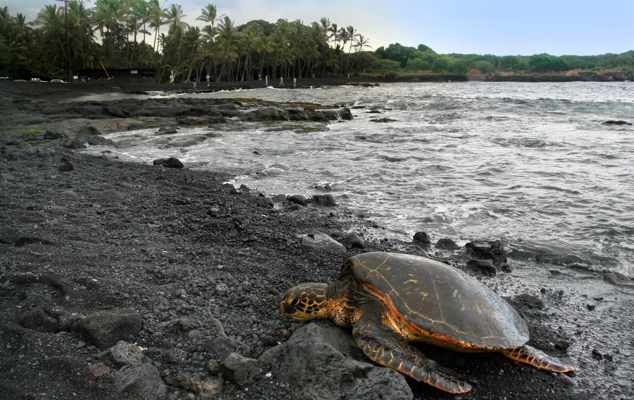 Забудьте про білий пісок: 10 пляжів, де він рожевий, зелений і навіть чорний