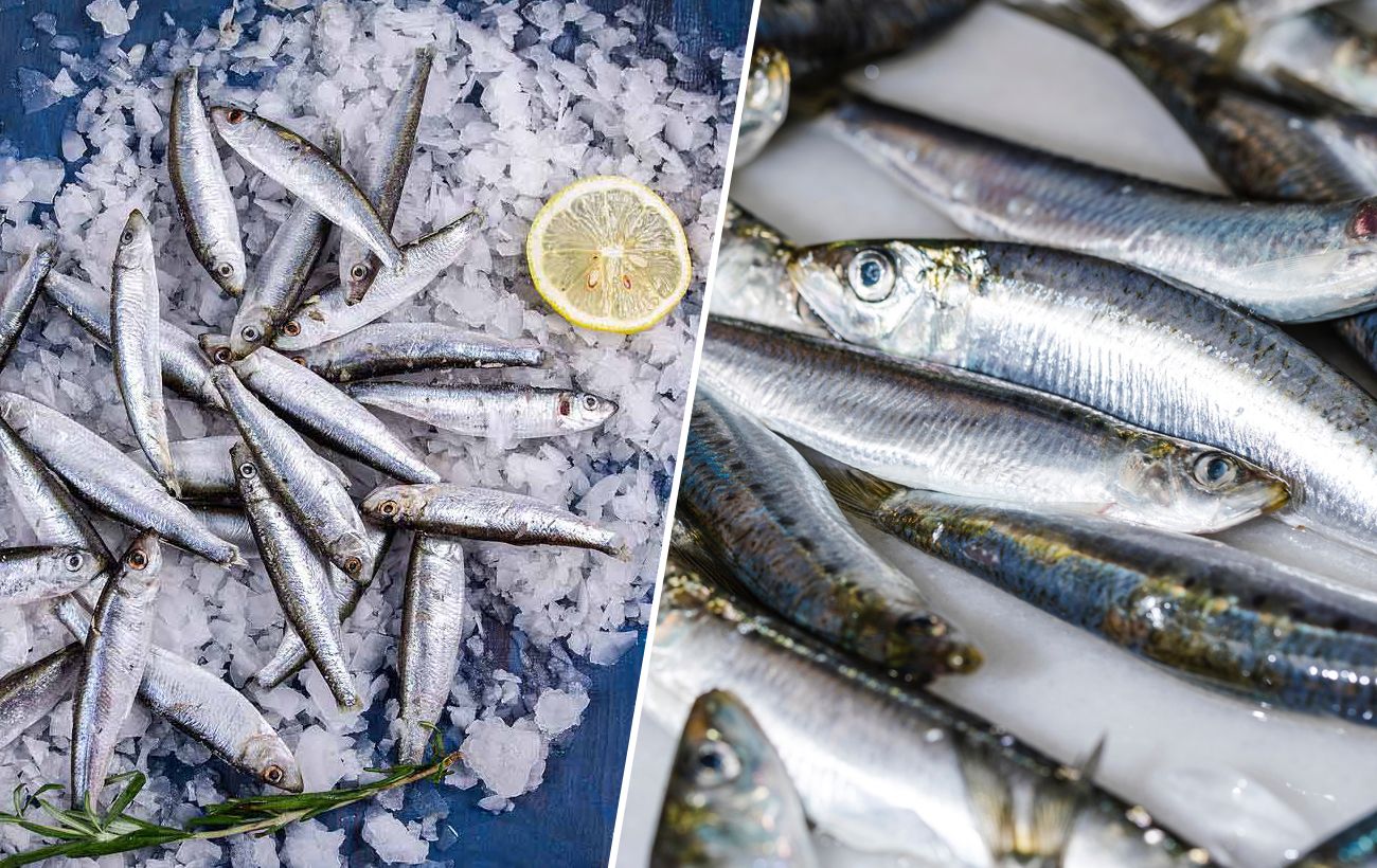 Кілька чи хамса: як не дати себе ошукати на ринку та обрати найкращу рибу