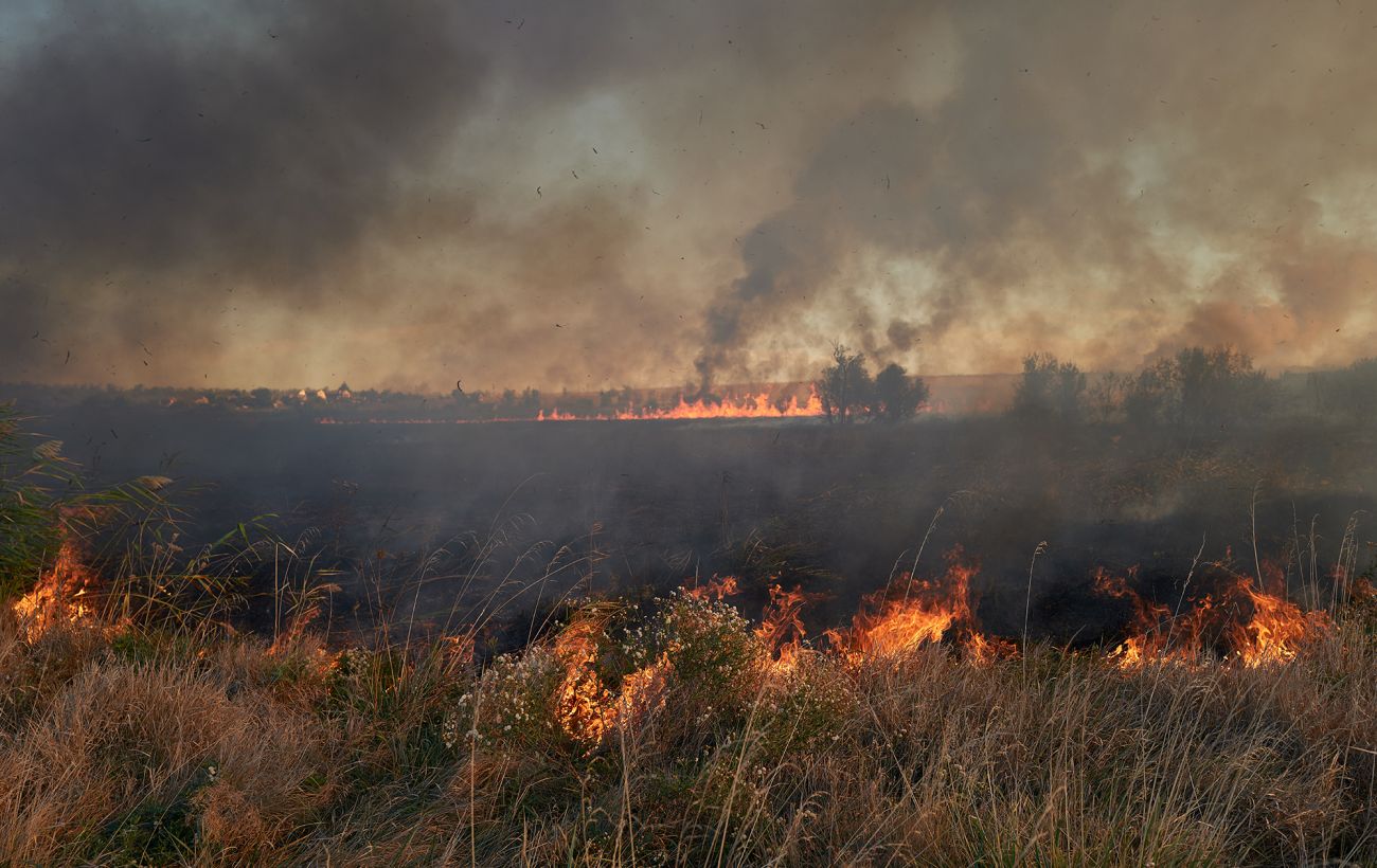 Багаття ціною 30 тисяч: українцям нагадали про штраф за спалювання трави