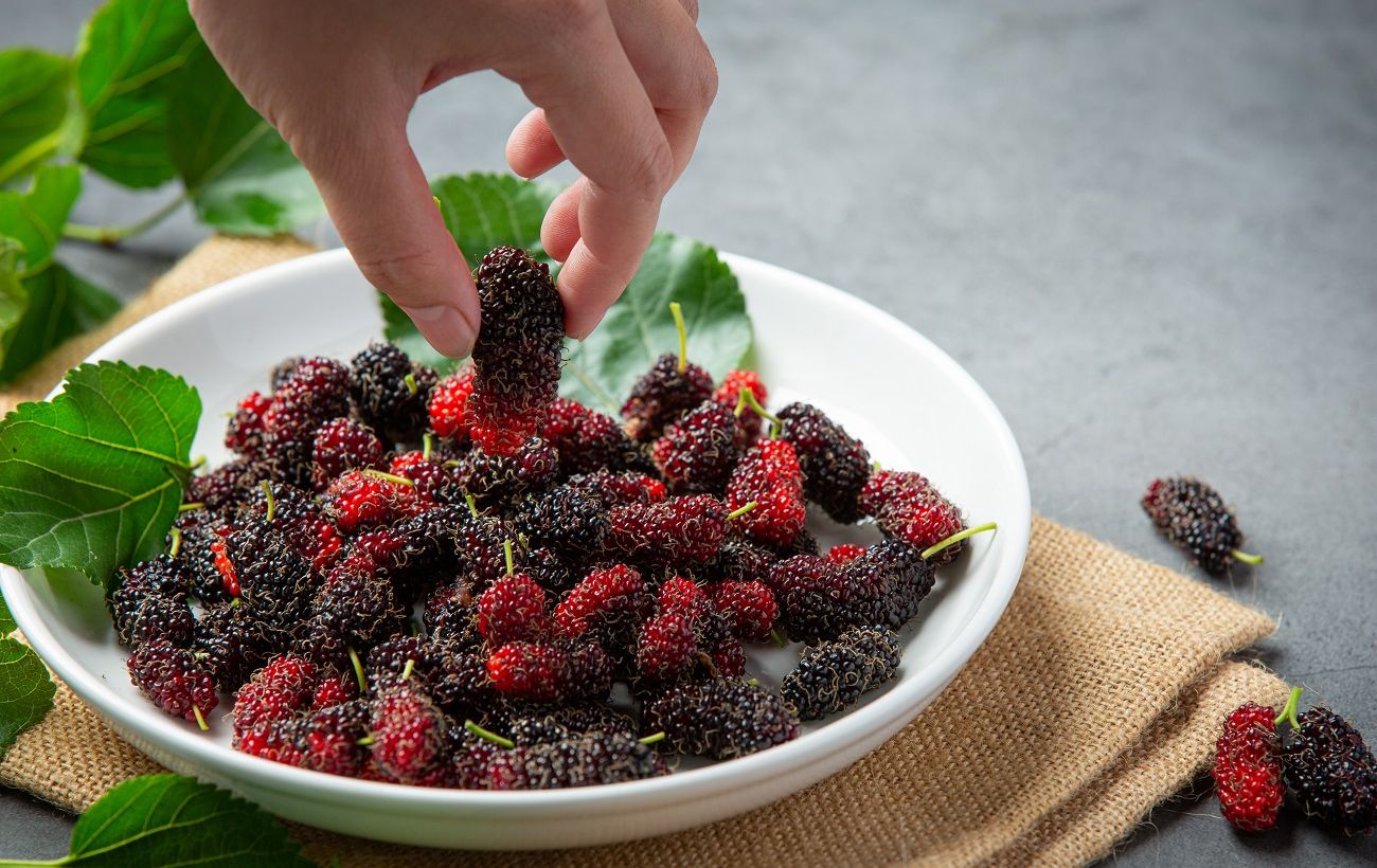 Лікарі радять їсти цю ягоду після 50: вона зміцнює серце та уповільнює старіння