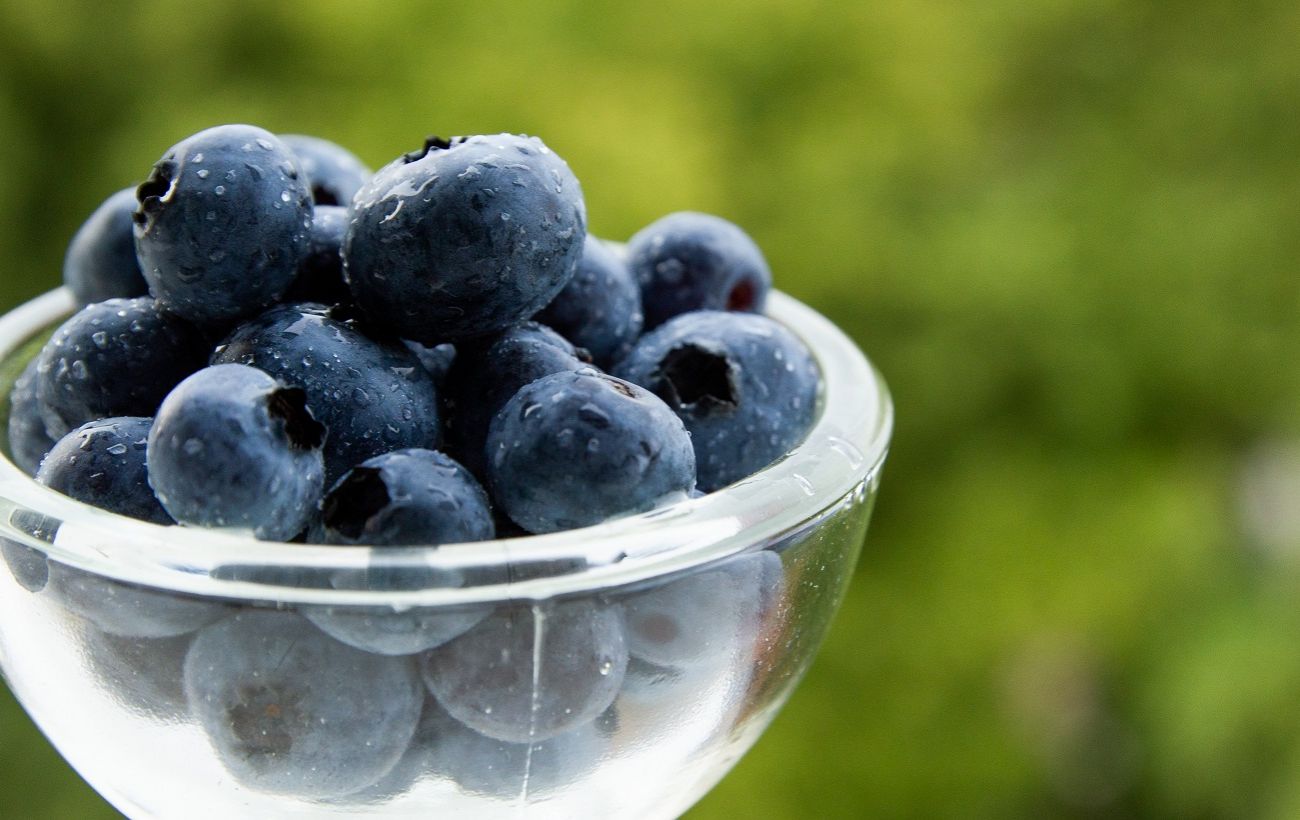 "Золота" ягода за копійки: секретний спосіб розмножити лохину, про який мовчать садові центри