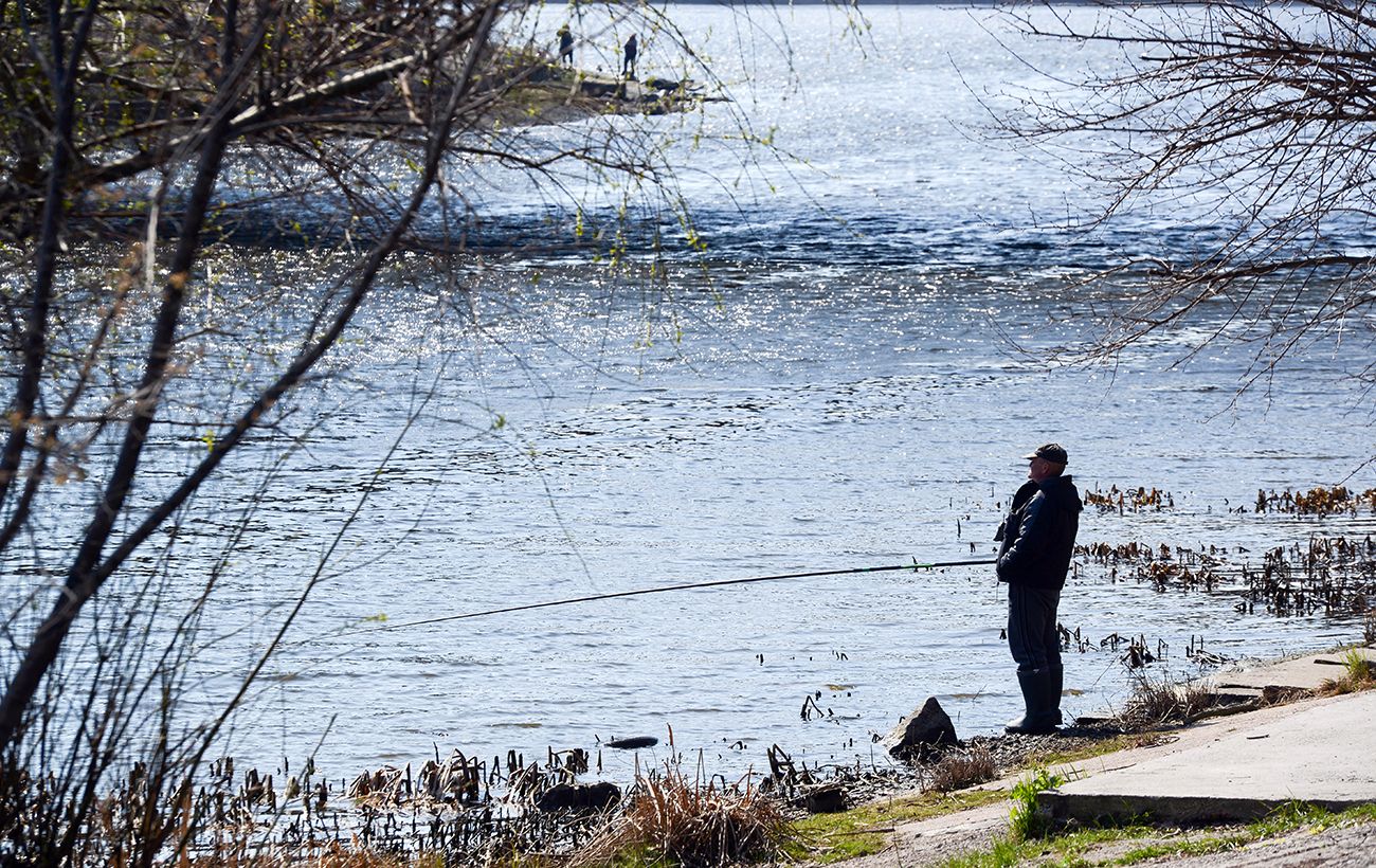 Нерест 2026 в Україні: коли стартує заборона і як можна рибалити, щоб не "зловити" штраф