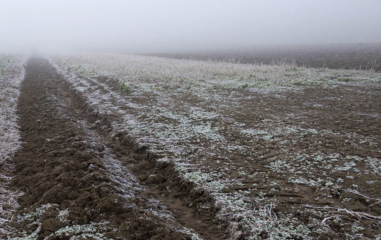 Небезпечні заморозки на ґрунті та у повітрі: де і коли чекати мінус до кінця тижня (карта)