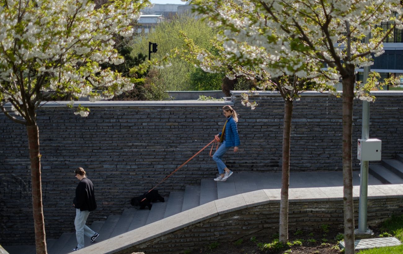 Синоптики розповіли, яким буде травень в Україні