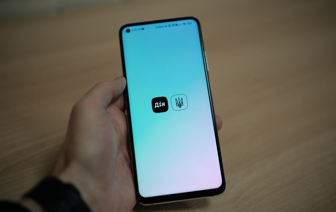 Базова соцдопомога в "Дії": як оформити єдину виплату для всієї родини