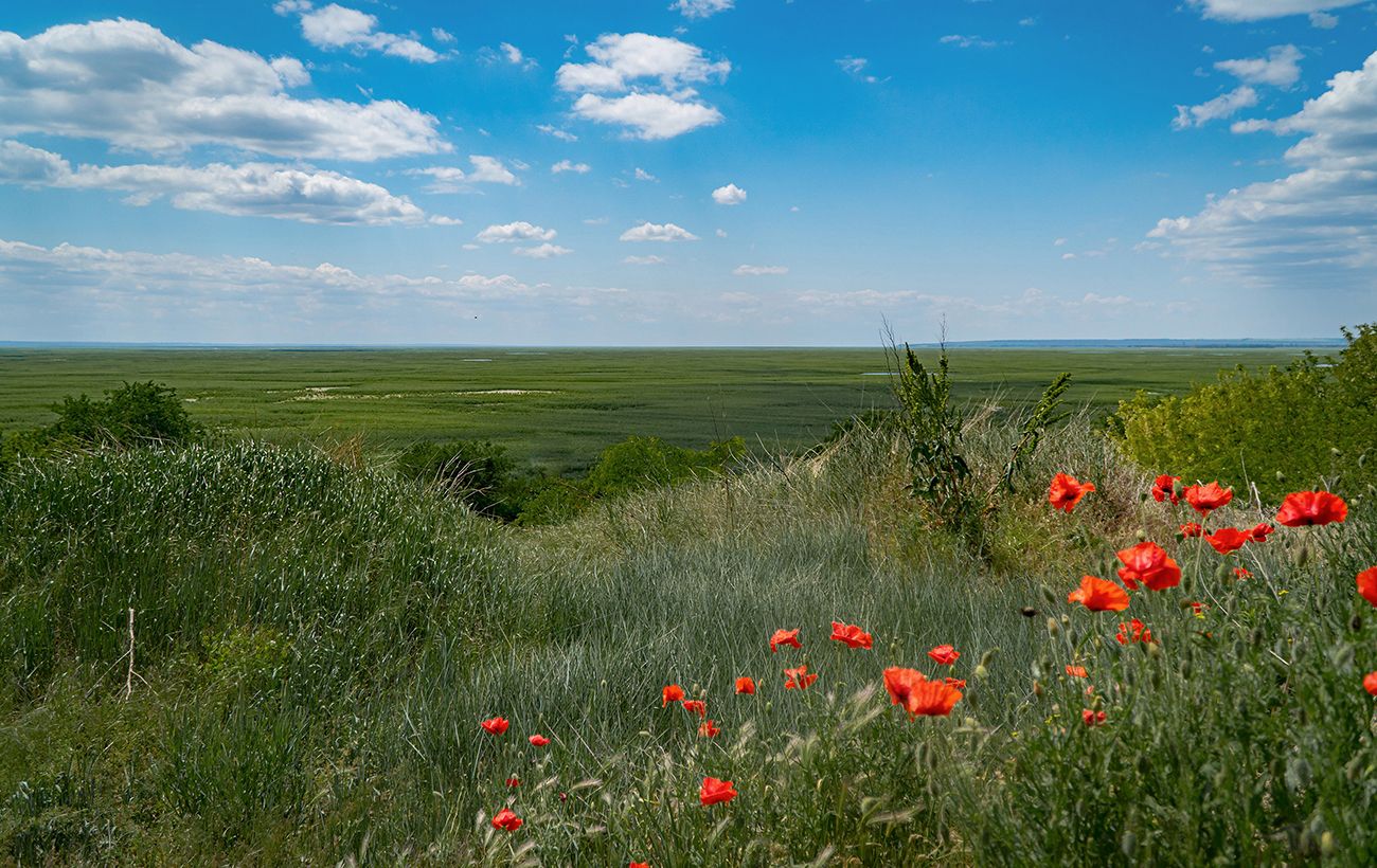 Великий Луг відроджується? Які наслідки має підрив Каховської ГЕС через три роки