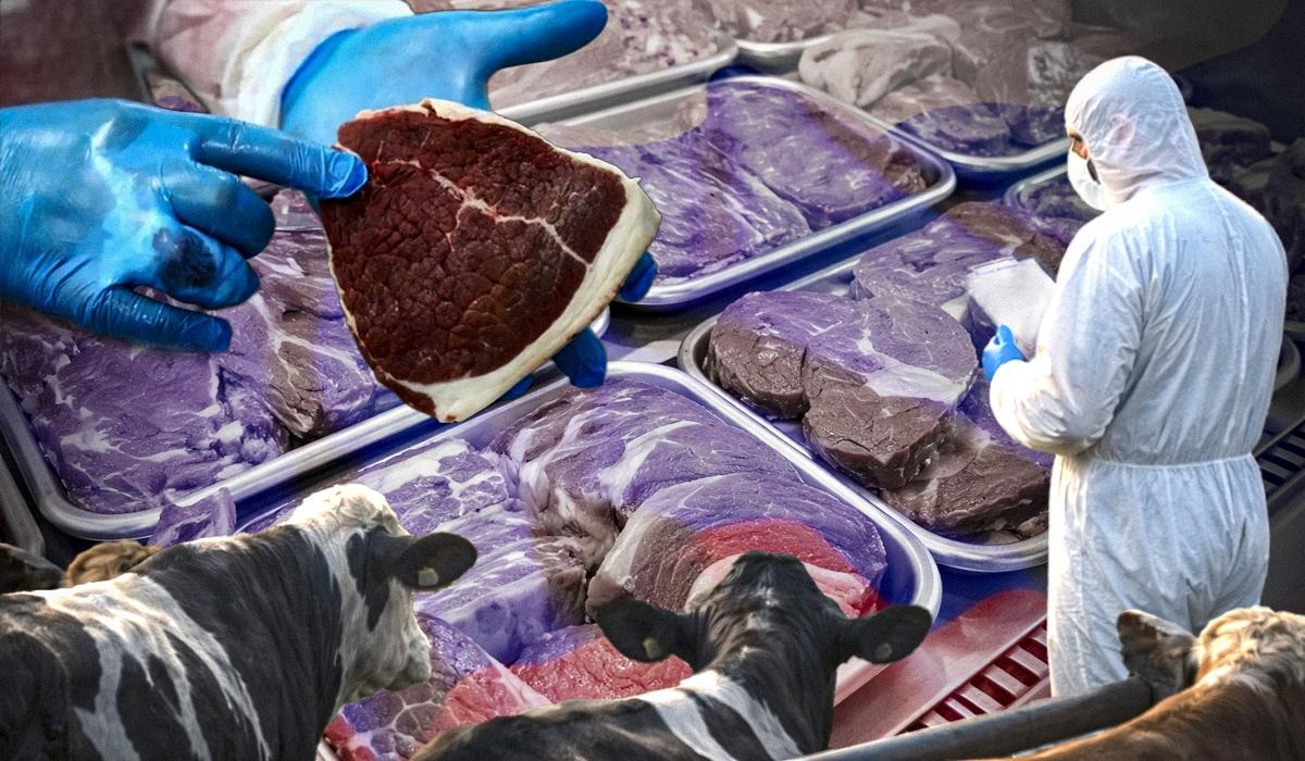 Ящур на експорт: Росія знищує худобу й водночас продає заражене м’ясо по всьому світу