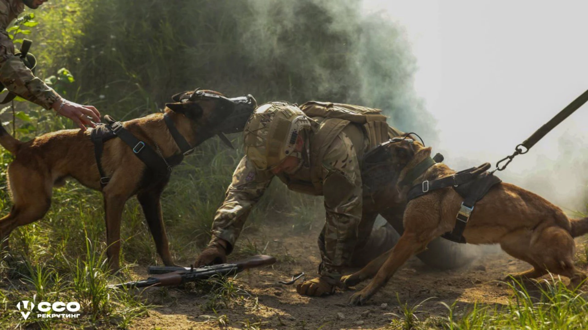 Унікальний контракт від ССО: навчання, досягнення та результат